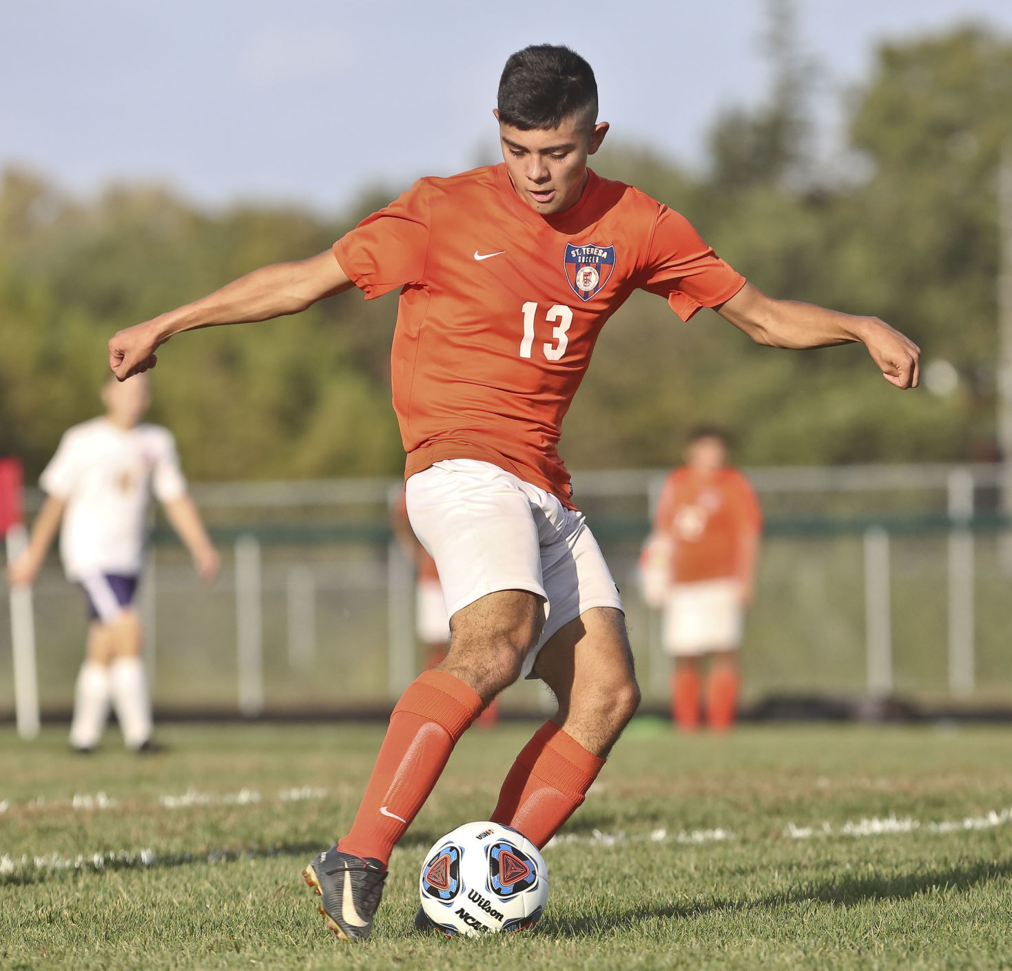 St Teresa Mt Pulaski Boys Soccer 29 10.09.18.JPG